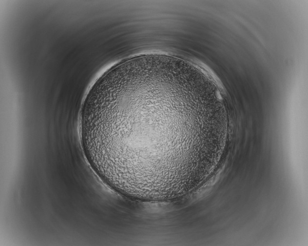 X0000116420804200912081503