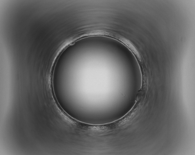 X0000116420805200912081503