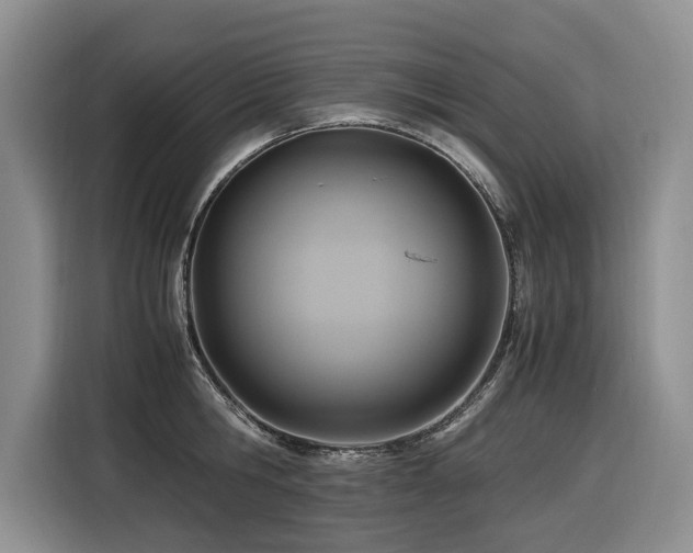 X0000116420806200912081503