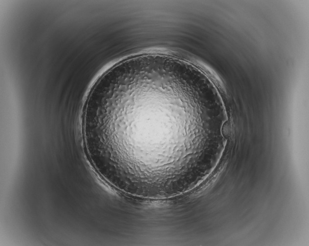 X0000116420808200912081503