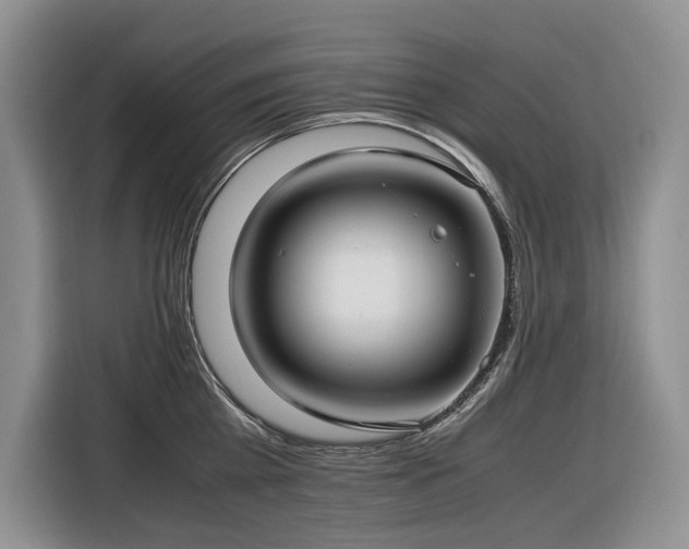 X0000116420809200912081503