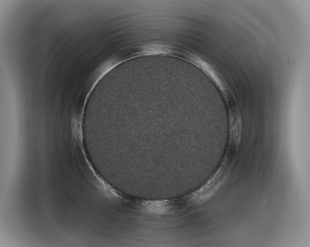 X0000116420810200912081503