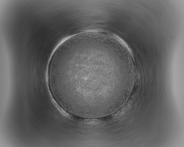 X0000116420811200912081503