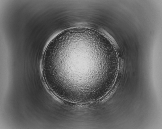 X0000116420812200912081503