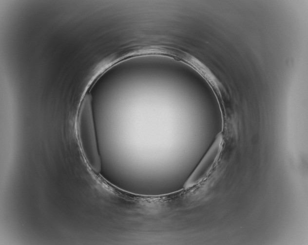 X0000116420813200912081503