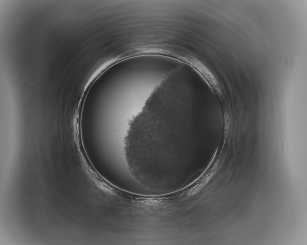 X0000116420814200912081503