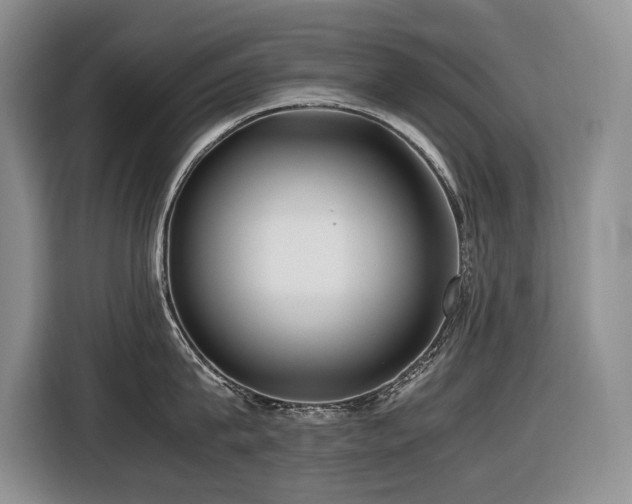 X0000116420815200912081503