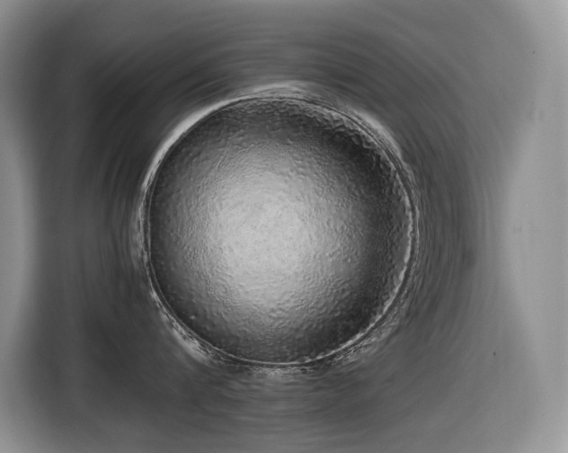 X0000116420816200912081503