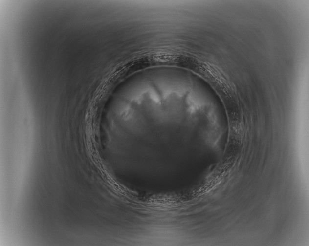 X0000116420817200912081502