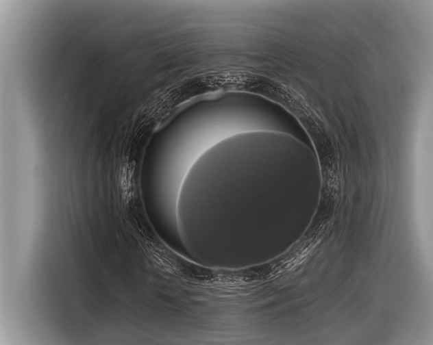 X0000116420818200912081502