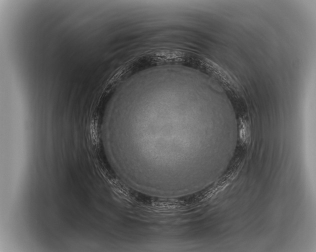 X0000116420819200912081502