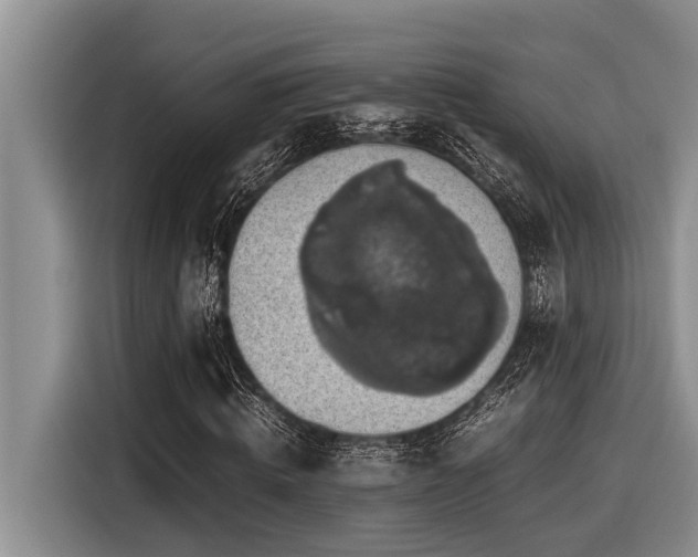 X0000116420820200912081502