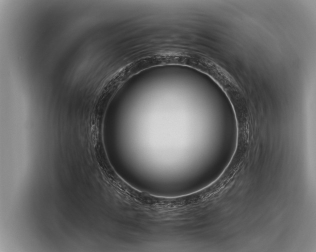 X0000116420821200912081502