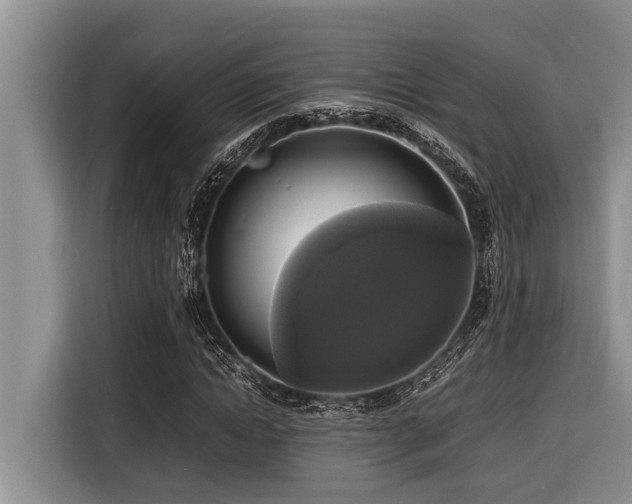 X0000116420822200912081502