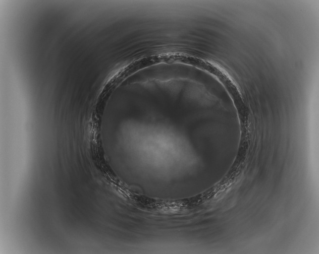 X0000116420823200912081502