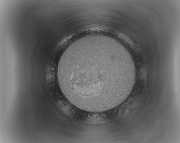 X0000116420824200912081502