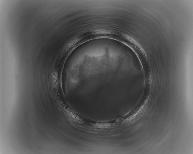 X0000116420825200912081502