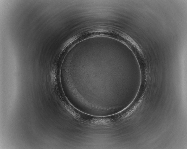 X0000116420826200912081502