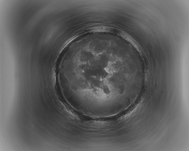 X0000116420829200912081502