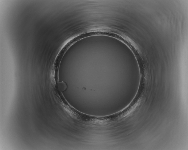 X0000116420830200912081502