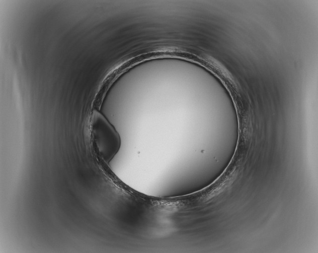 X0000116420831200912081502