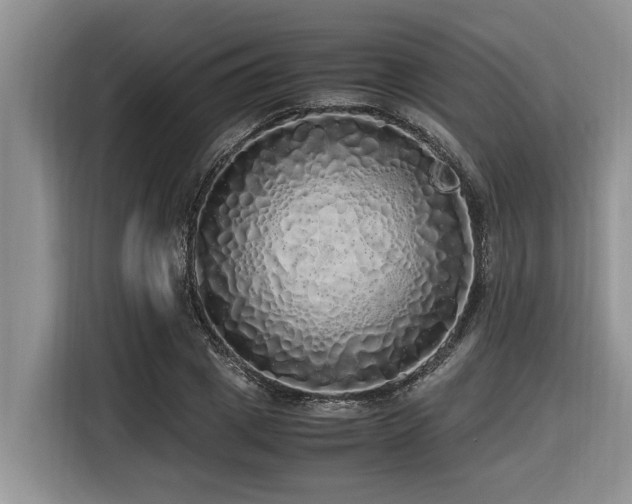 X0000116420833200912081502