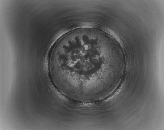 X0000116420835200912081502