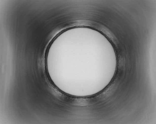 X0000116420836200912081502