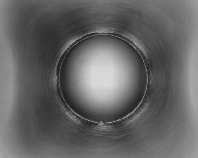 X0000116420837200912081502