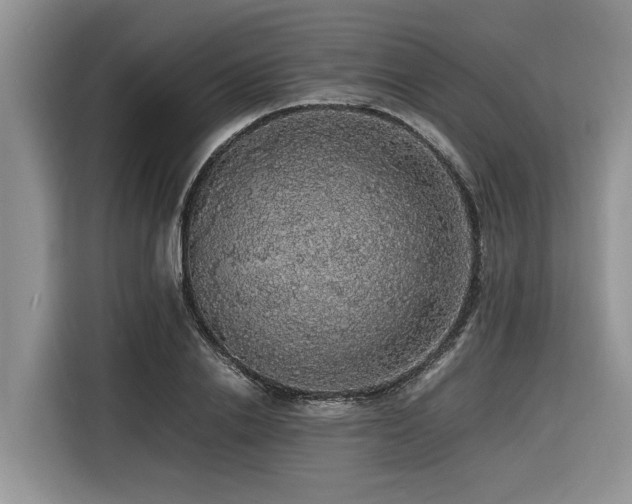 X0000116420838200912081502