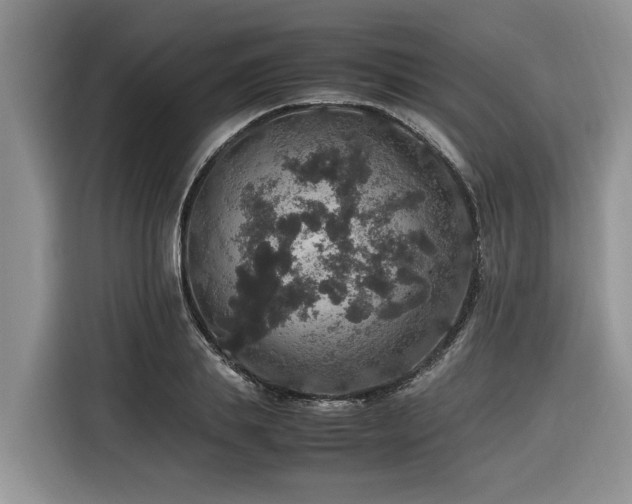 X0000116420839200912081502
