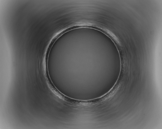 X0000116420840200912081502