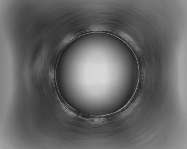 X0000116420841200912081502