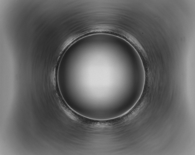 X0000116420842200912081502