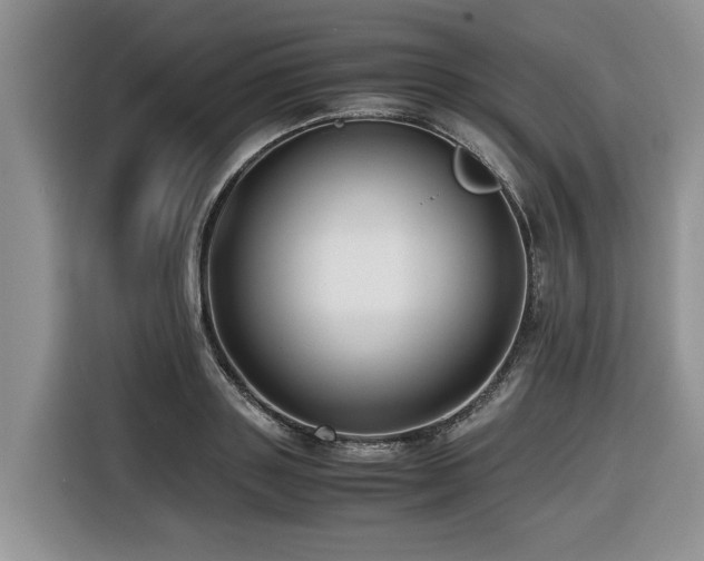 X0000116420843200912081502