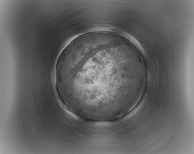 X0000116420844200912081502