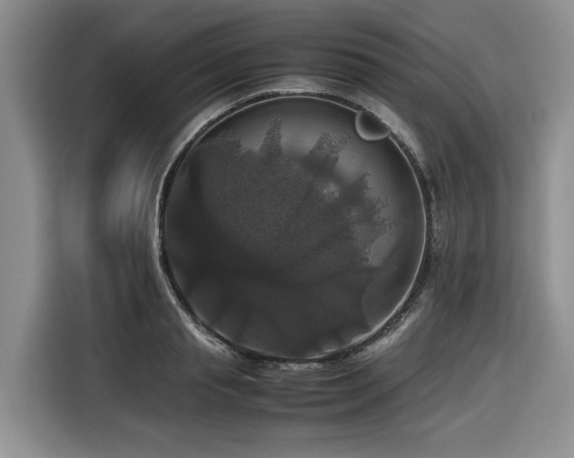 X0000116420845200912081502