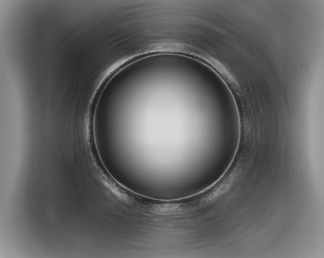 X0000116420846200912081502