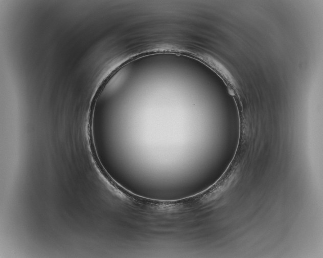 X0000116420847200912081502