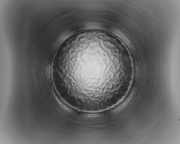 X0000116420849200912081502