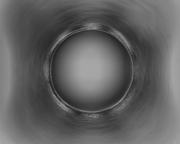 X0000116420851200912081502