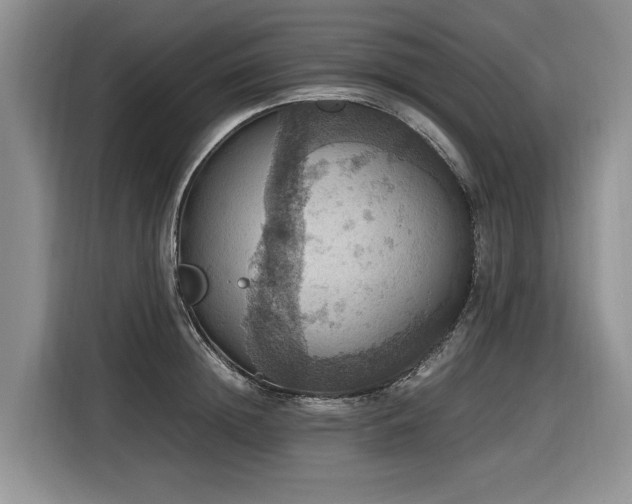 X0000116420852200912081502