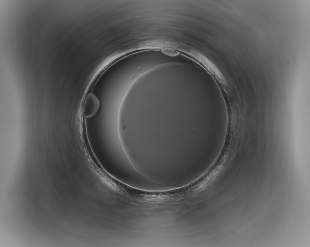 X0000116420854200912081502