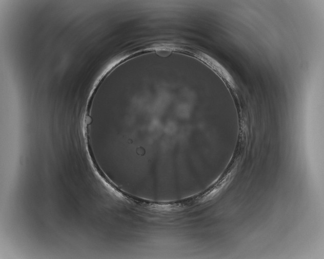 X0000116420855200912081502