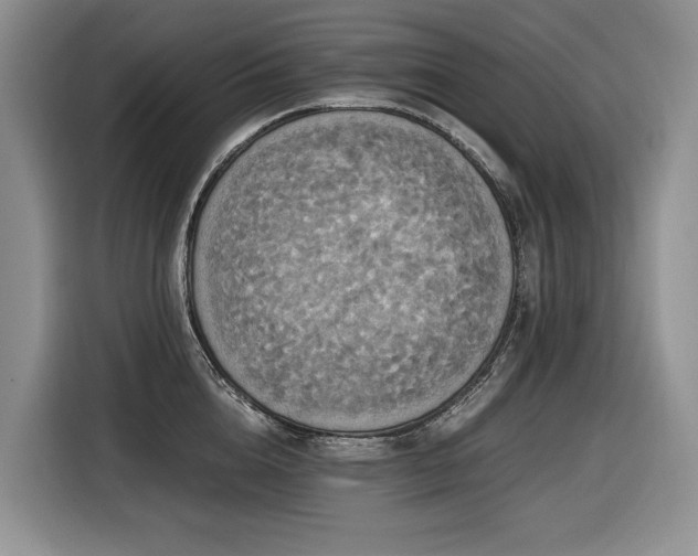 X0000116420856200912081502