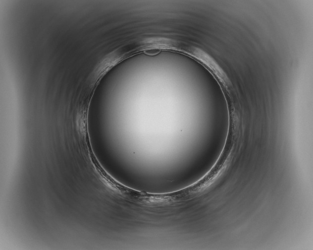 X0000116420857200912081502