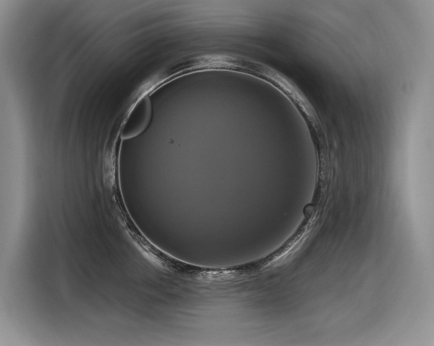 X0000116420858200912081502