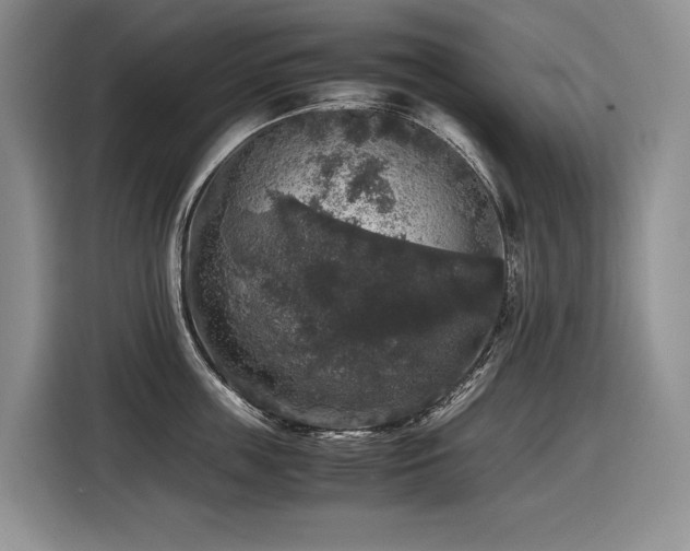 X0000116420859200912081502