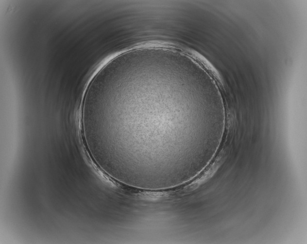 X0000116420860200912081502