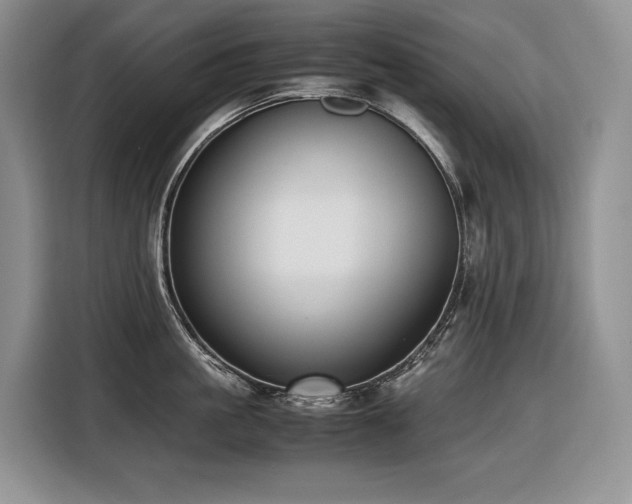 X0000116420861200912081502